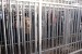 Pour les Palestiniens, la vie sous occupation israélienne signifie une constante déshumanisation et un emprisonnement permanent - Phot : PalestineChronicle/Tamar Fleishman