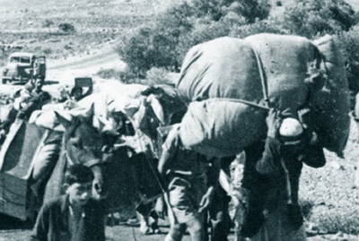 Nakba, 1948 - Archives