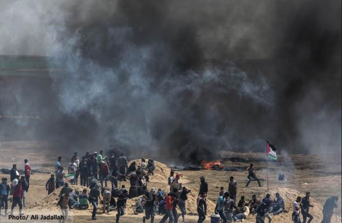 Photo : Ali Jadallah