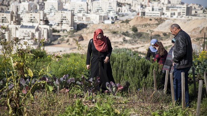 Photo : Tessa Fox/Al-Jazeera