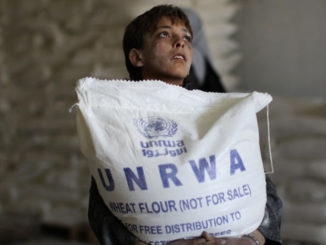 Photo : UNRWA