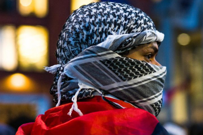 www.chroniquepalestine.com