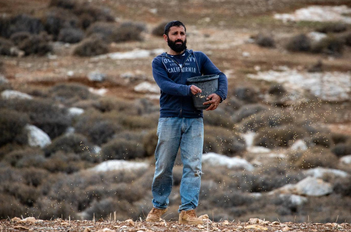 Photo : Avishay Mohar / Activestills