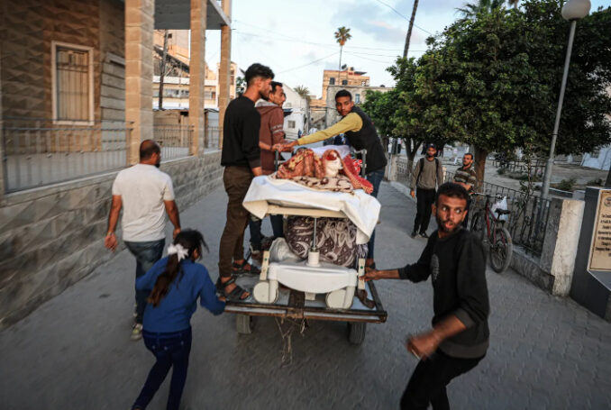 Photo : Dawoud Abo Alkas /Anadolu