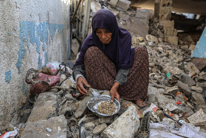Photo : Dawoud Abo Alkas / AA