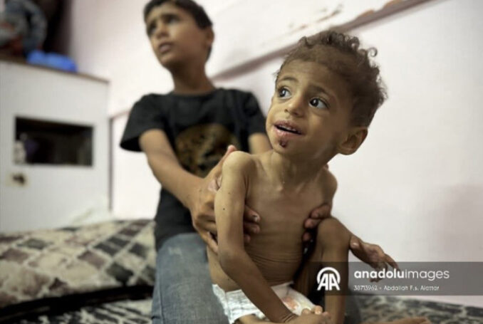 Photo : Abdallah Alattar / AA