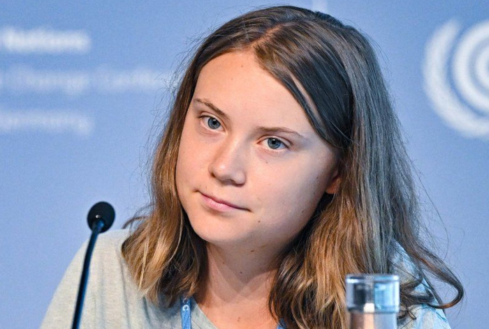 Maltraitances présumées de Greta Thunberg et d'activistes après l'interception d'une flottille pour Gaza; des ONG appellent à une enquête.