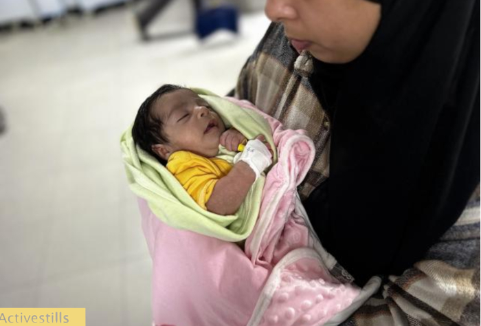Gaza : le génocide impacte lourdement le taux de natalité