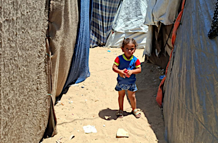 Gaza : « La tente est un véritable four brûlant »